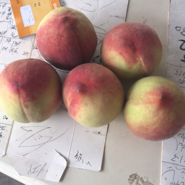 大量精品77_8上市