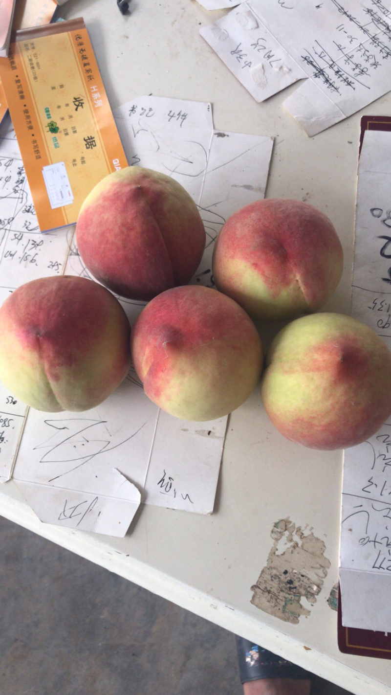 大量精品77_8上市