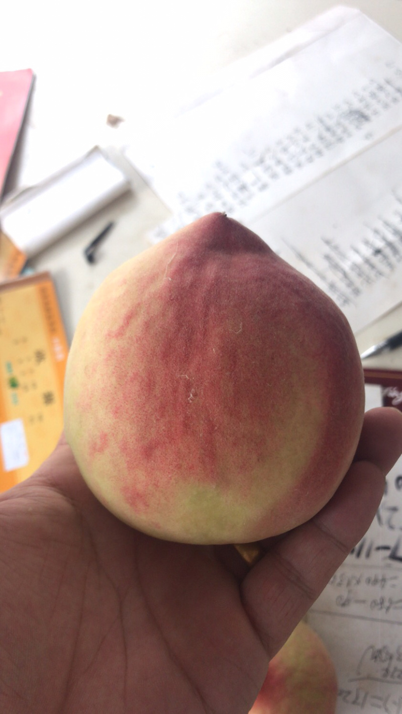 大量精品77_8上市
