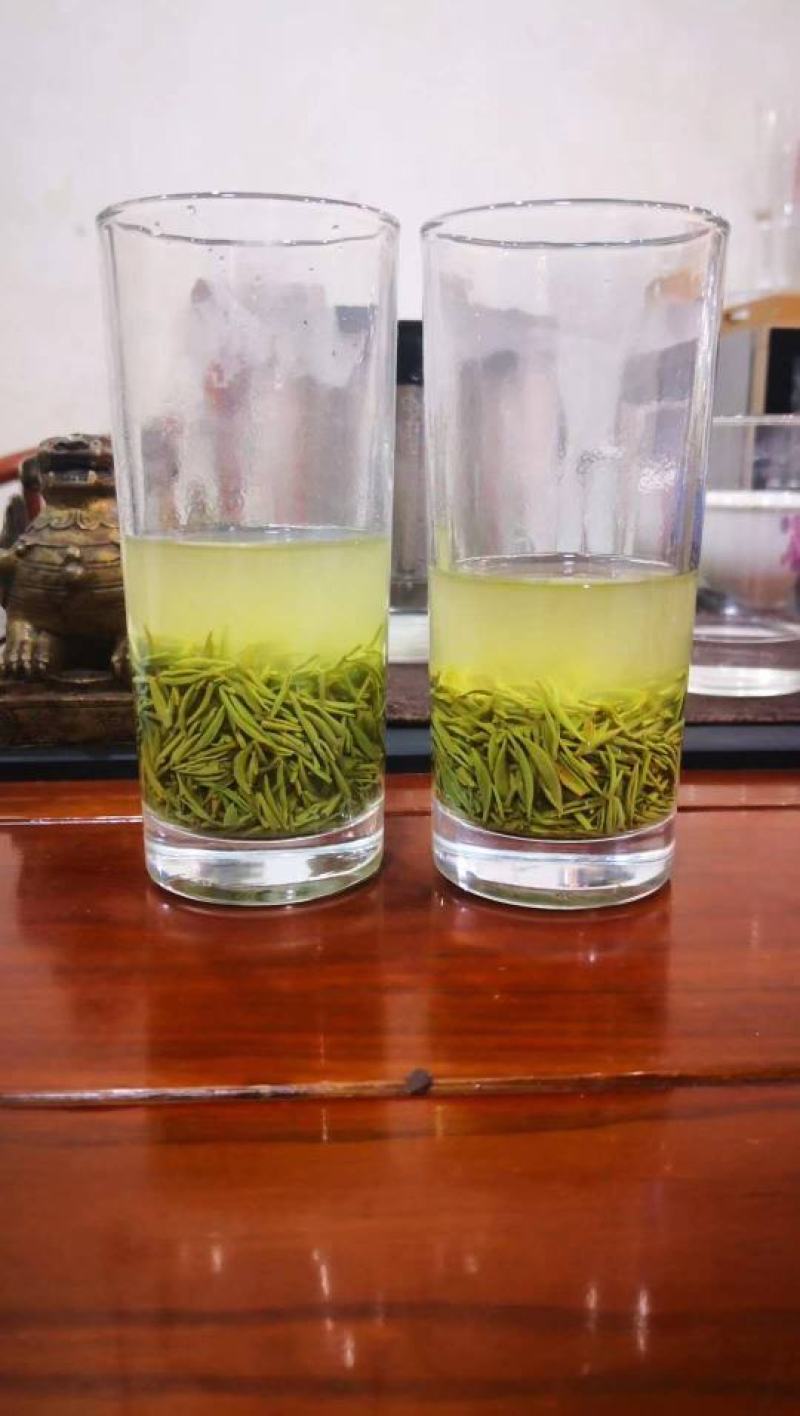 信阳红和信阳毛尖绿茶
