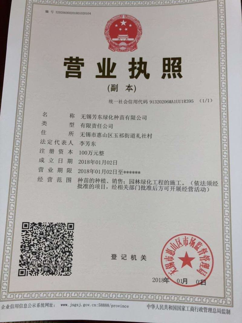 狼尾草狼尾草种子紫穗狼尾草种子多年生四季播种耐寒北方易播