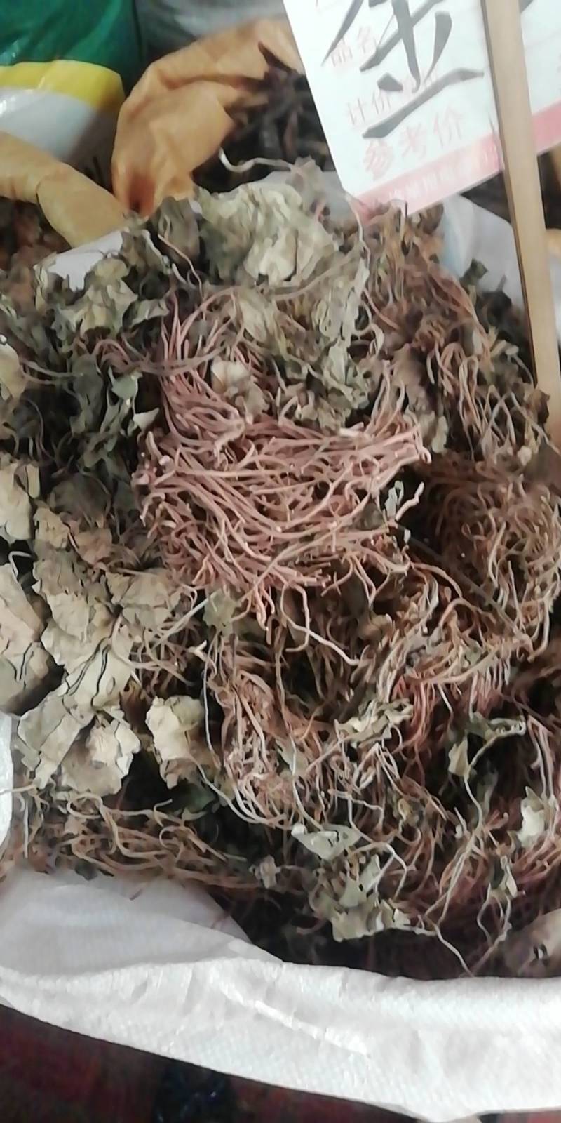 新货金耳环批发加零售
