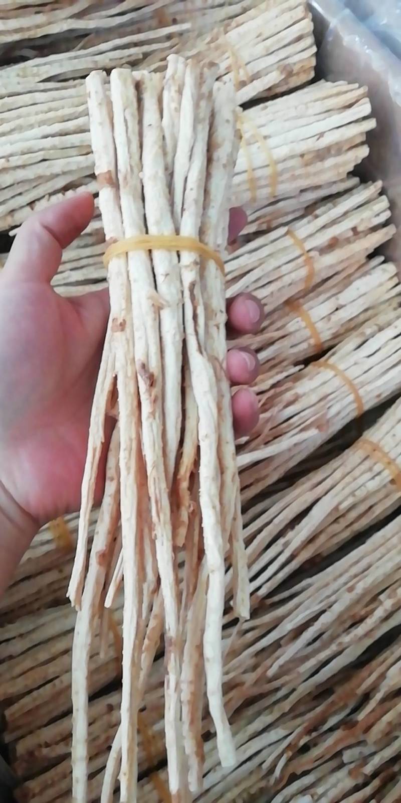 沙参，沙参批发加零售