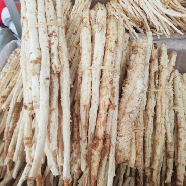 沙参，沙参批发加零售