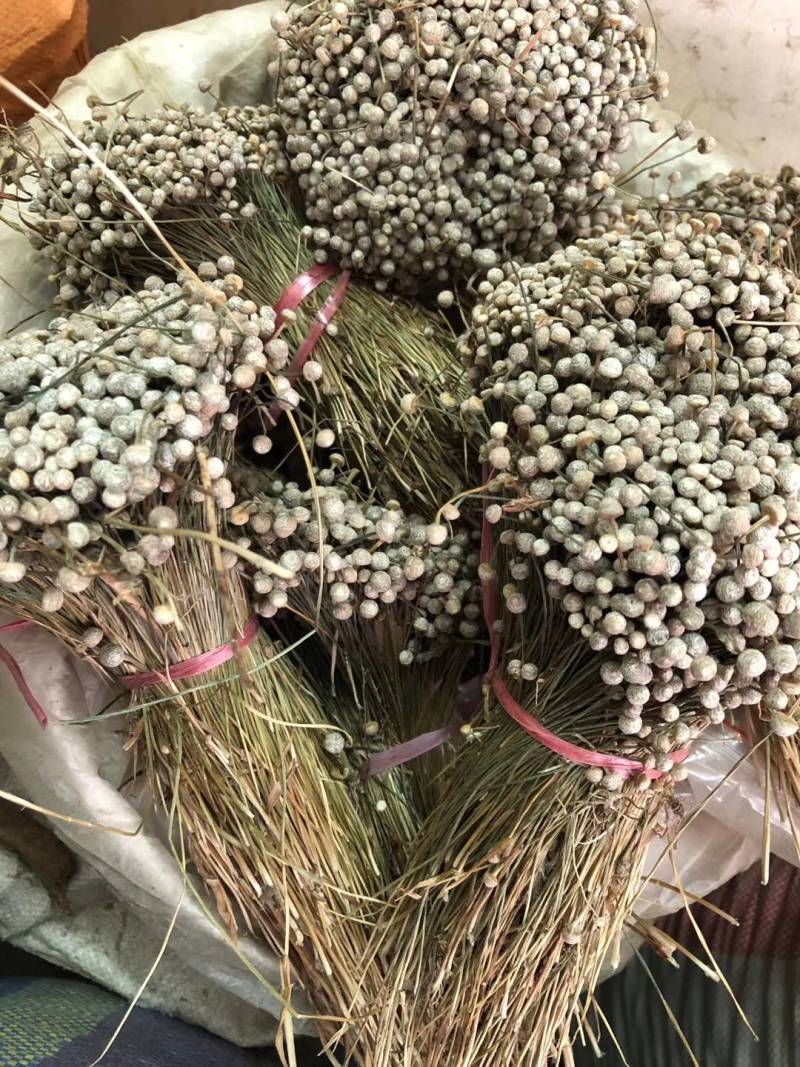 谷精草，谷精草批发加零售