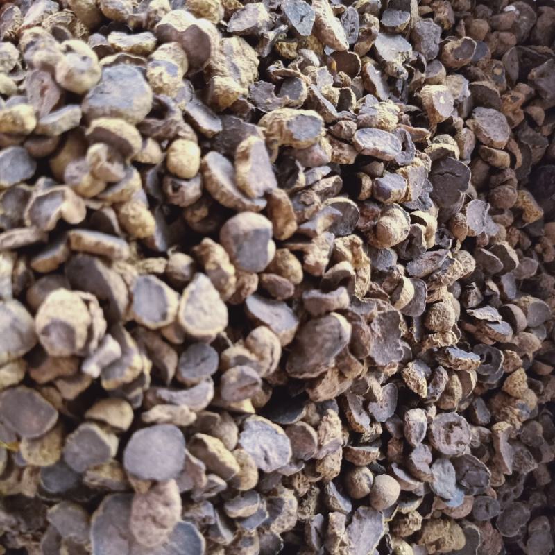 药材批发自己加工的元胡大量货源欢迎选购