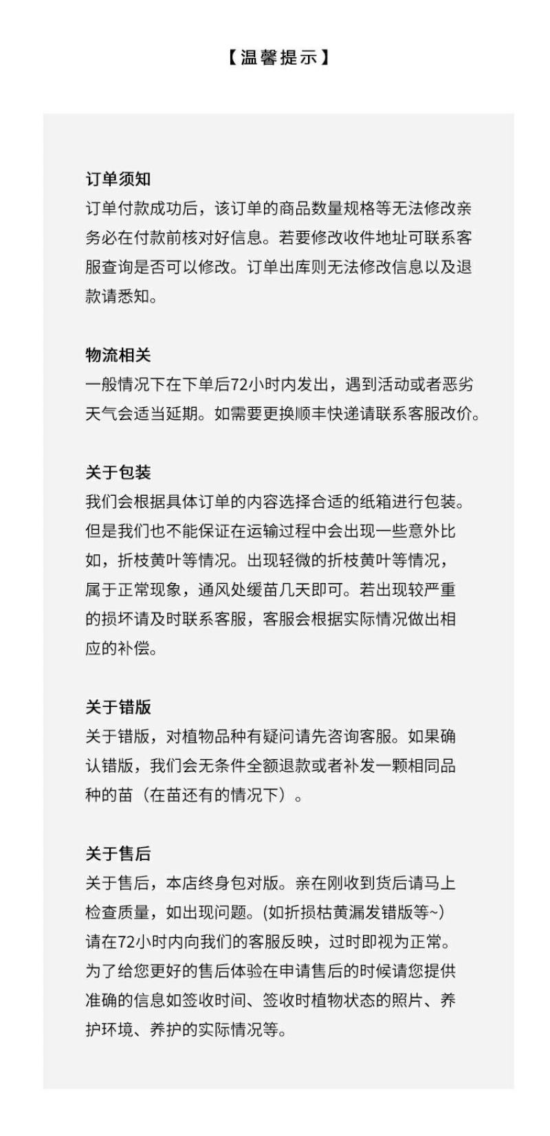 木槿花卉盆栽树苗蓝莓冰沙紫玉薰衣草雪纺重瓣耐热