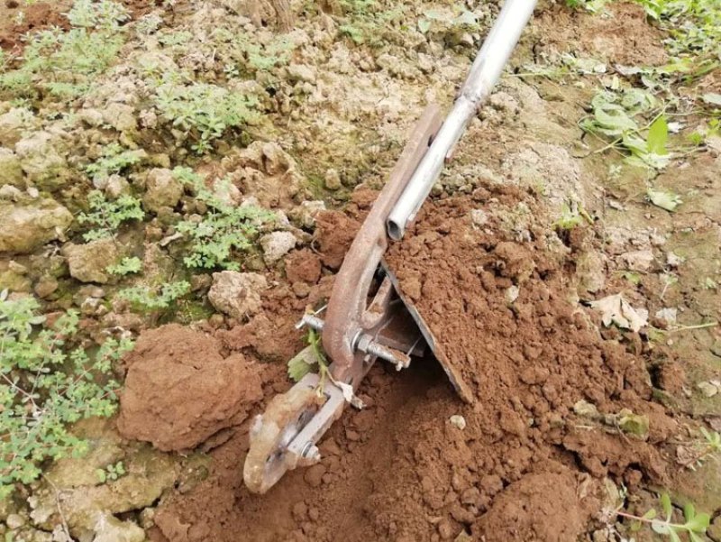 手拉犁人拉犁倒拉犁耕田犁开沟犁犁头犁尖铧尖翻地犁地铧式犁