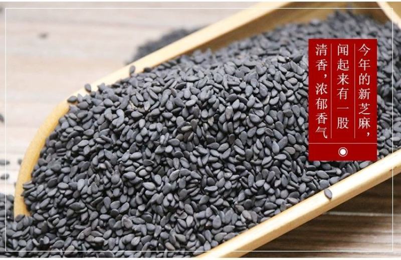 生黑芝麻驻马店原产地直供农家自产熟黑芝麻颗粒饱满