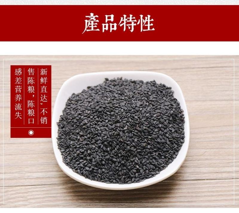 生黑芝麻驻马店原产地直供农家自产熟黑芝麻颗粒饱满