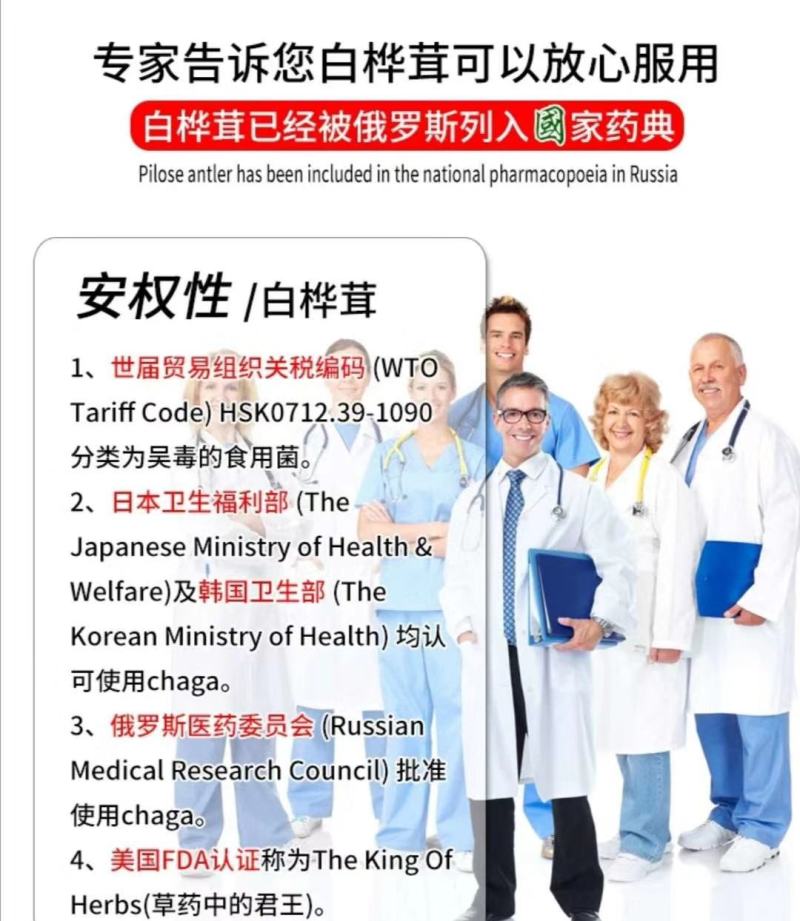 俄罗斯西伯利亚原包桦树茸