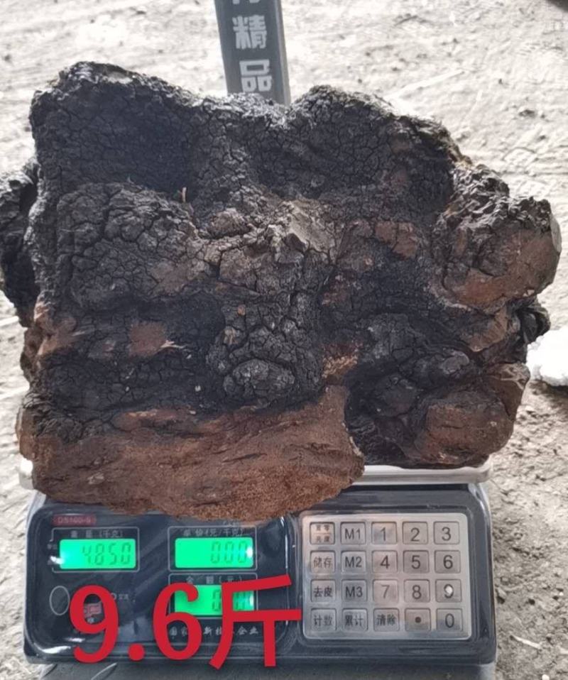 俄罗斯西伯利亚原包货，九斤以上大块