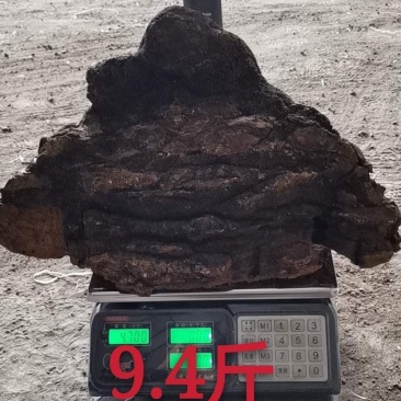 俄罗斯西伯利亚原包货，九斤以上大块