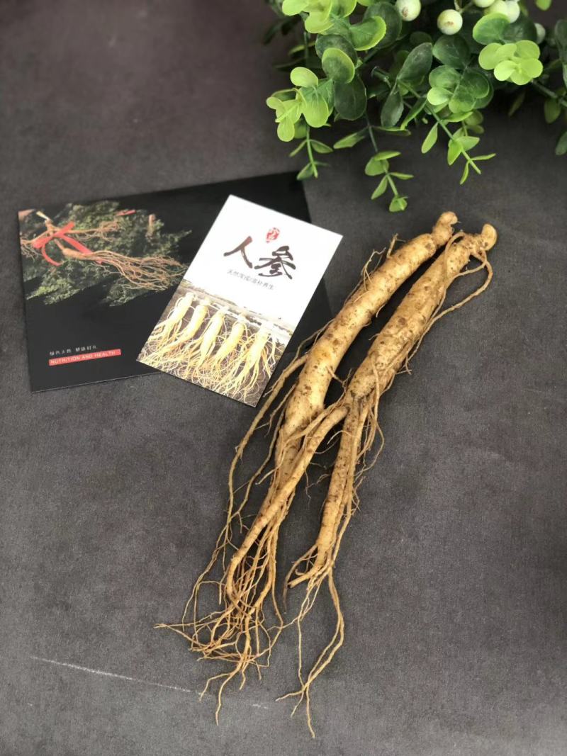 长白山新鲜人参，产地直发，现挖现卖