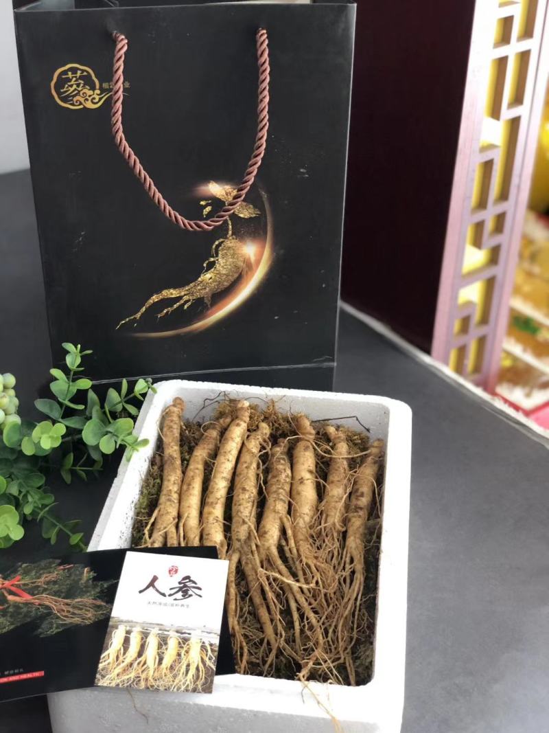 长白山新鲜人参，产地直发，现挖现卖