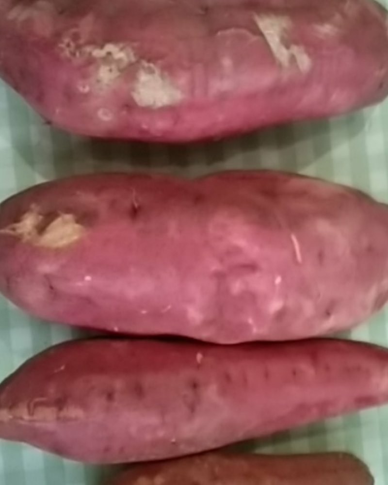 西瓜红红薯
