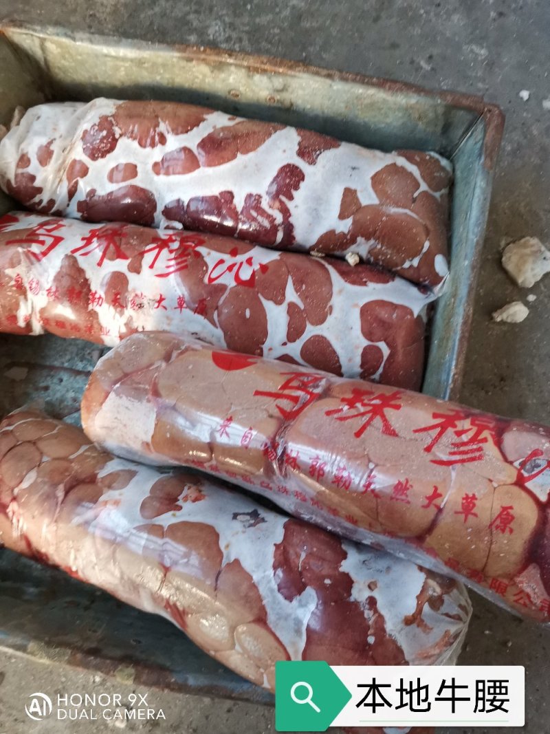 长年批发零售，内蒙古锡林浩特市散养牛，牛腰
