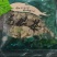 深山野生葛根花代用茶