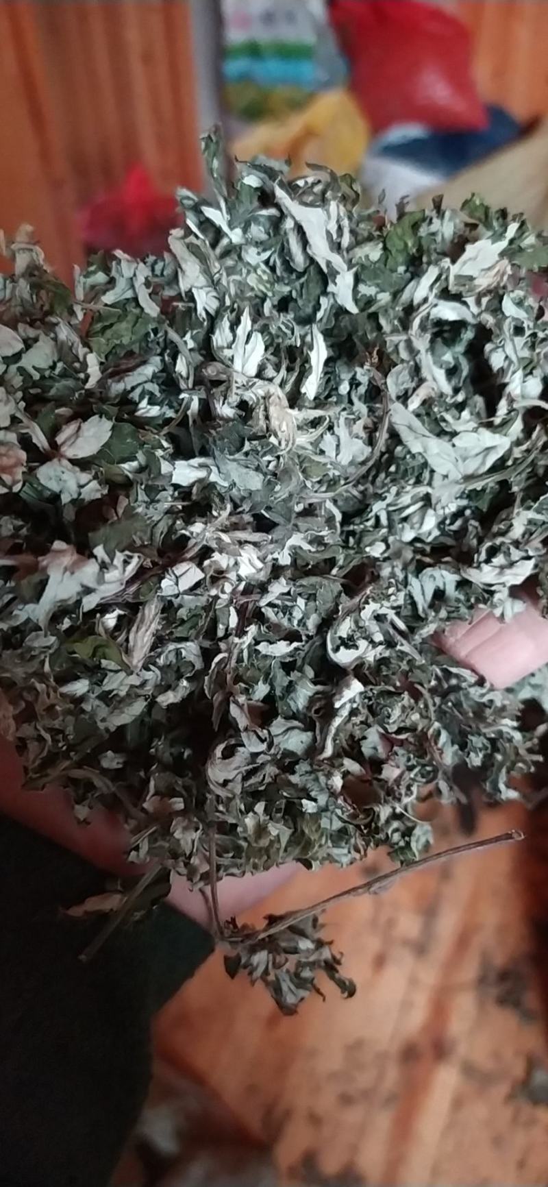 贵州铜仁野生无硫小艾叶干货白蒿艾草色青纯叶产地直发