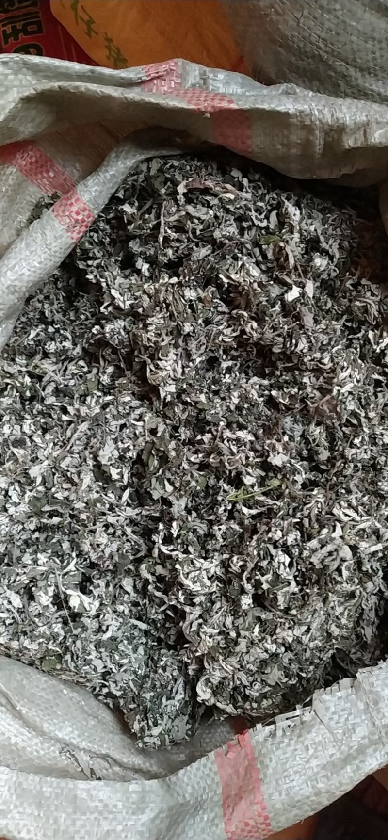 贵州铜仁野生无硫小艾叶干货白蒿艾草色青纯叶产地直发