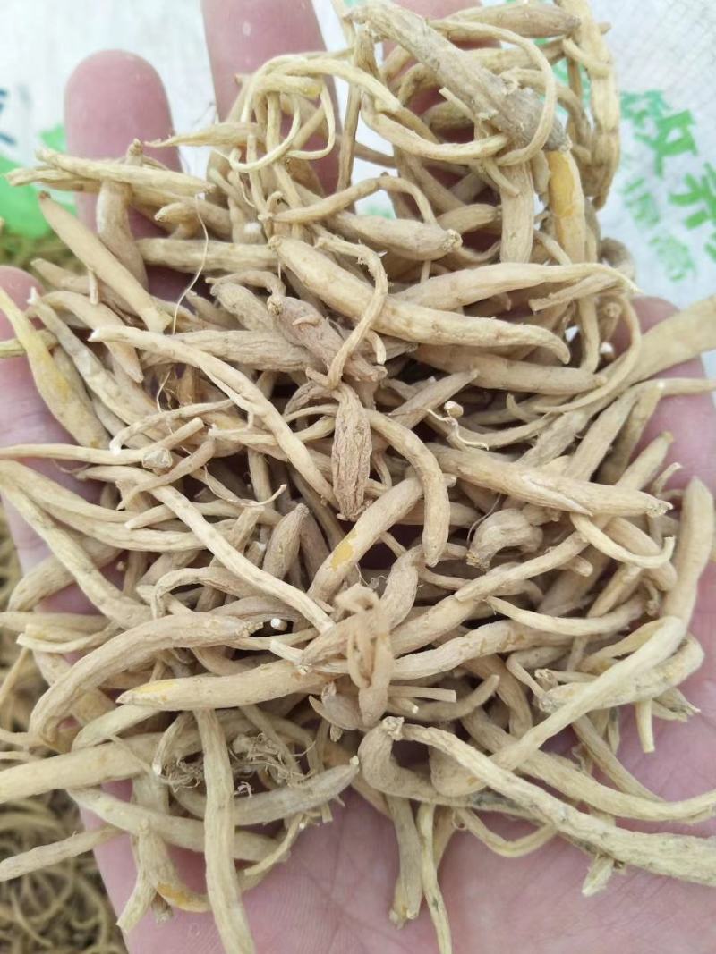 福鼎自家种植太子参统货产品直接供货