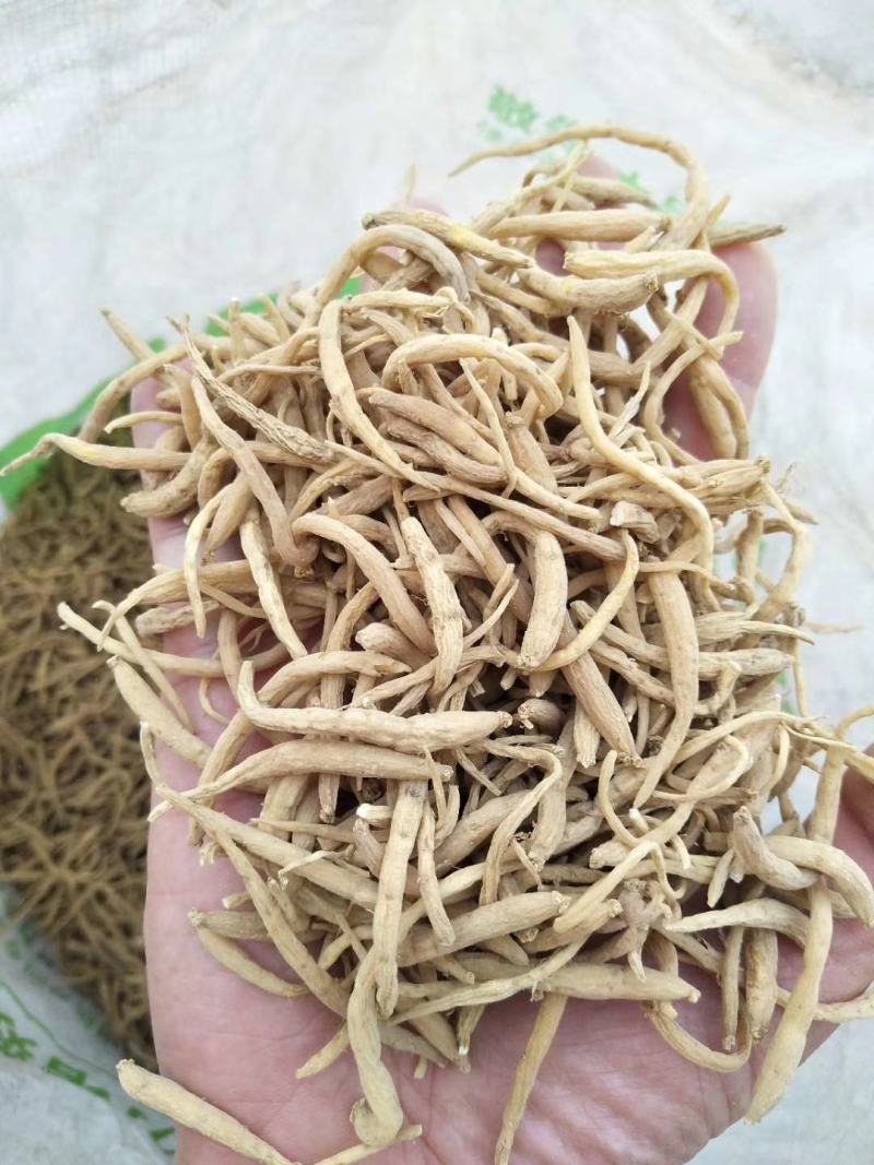 福鼎自家种植太子参统货产品直接供货