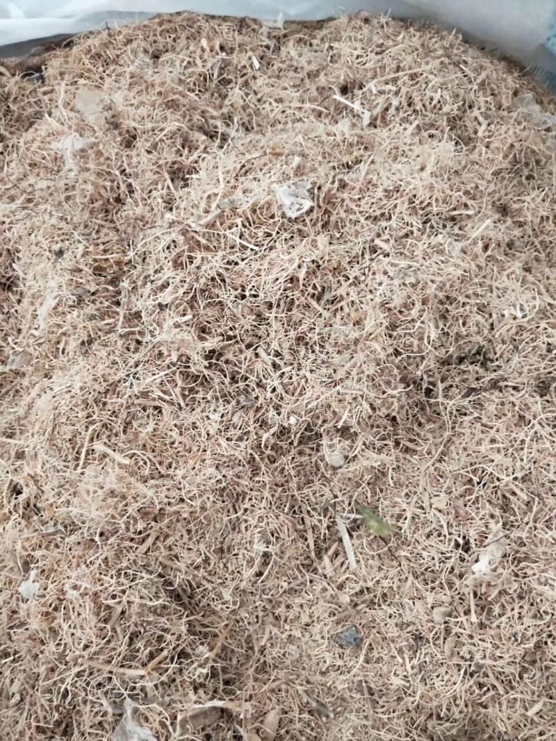 福鼎自家种植太子参统货产品直接供货