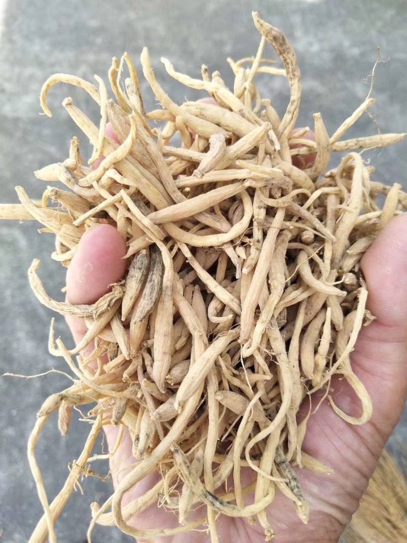 福鼎自家种植太子参统货产品直接供货