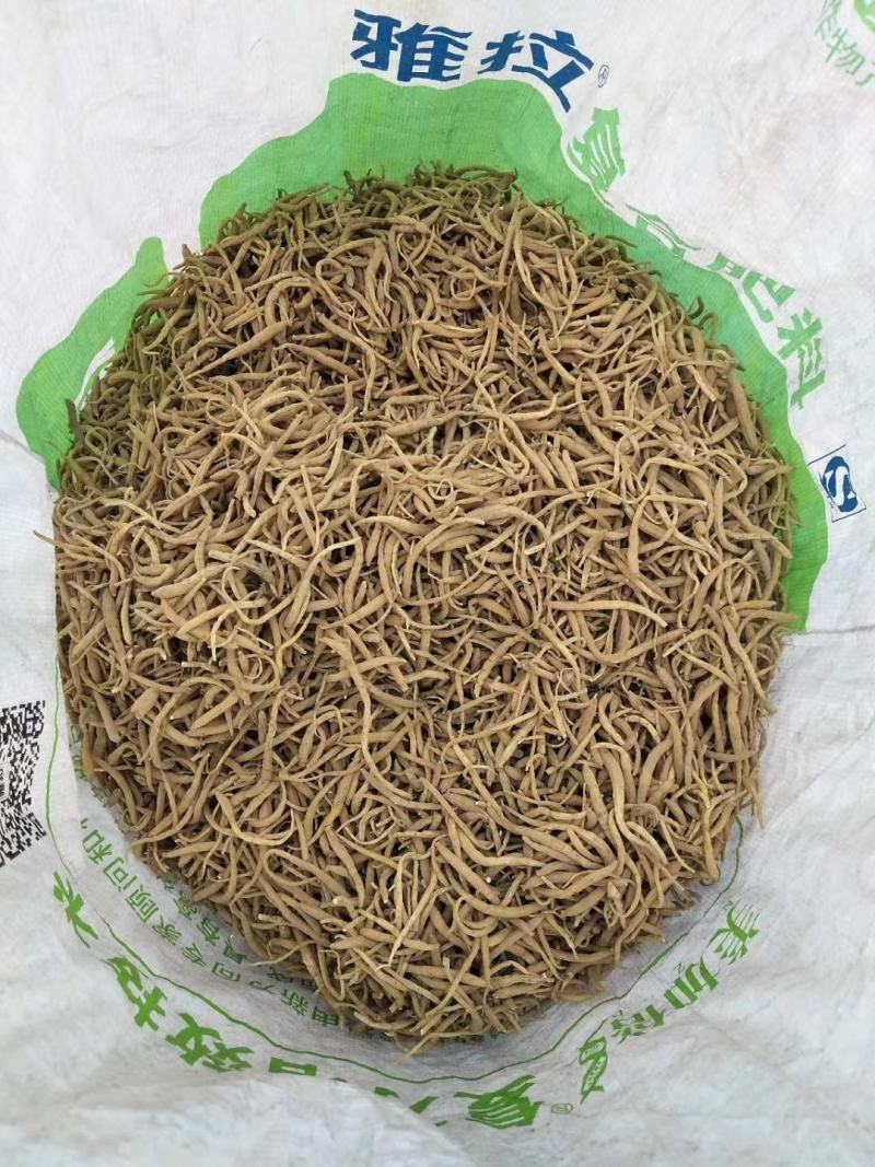福鼎自家种植太子参统货产品直接供货
