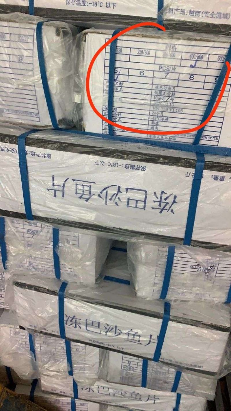 精品巴沙鱼！！！！！，，，！