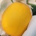 久红瑞