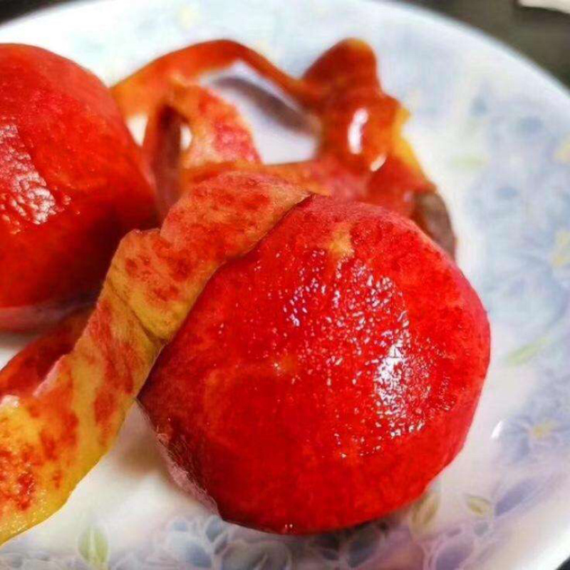 湖北红肉芙蓉李李子