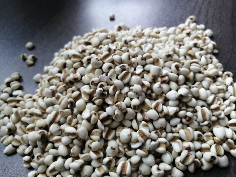 大薏米糯薏米香薏米泰米批发