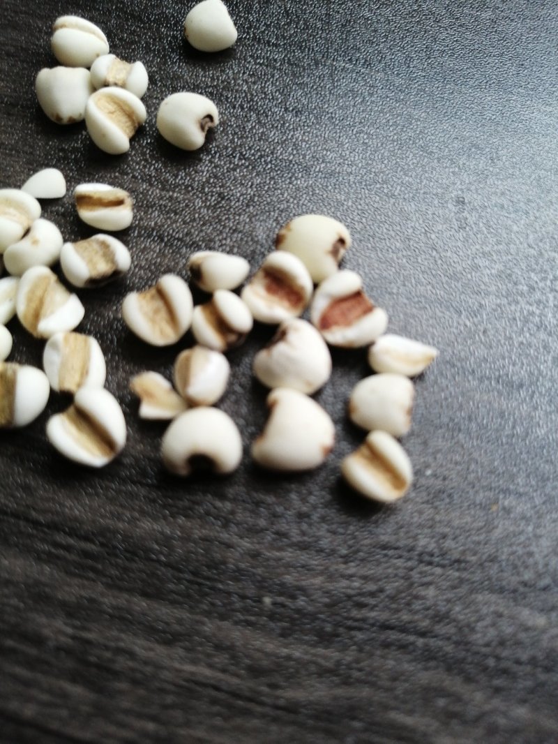 大薏米糯薏米香薏米泰米批发