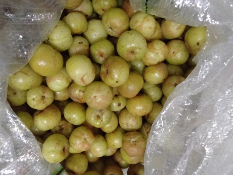 【保证新鲜】精品牛柑果，食用药用清甜回甘，基地直发