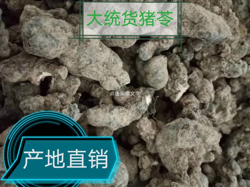 【产地热销】大统货猪苓，优质猪苓秦岭高山原生态栽培。