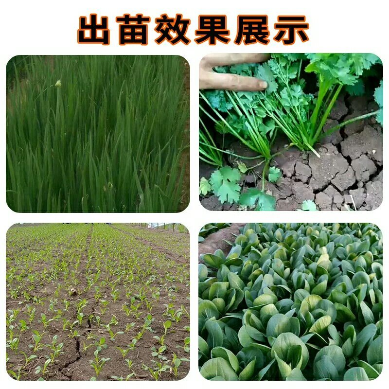 多功能蔬菜播种机油菜播种机萝卜播种机