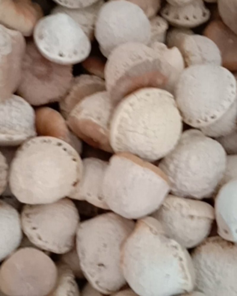 壮阳果，常年批发供应药食同源风流果中药材