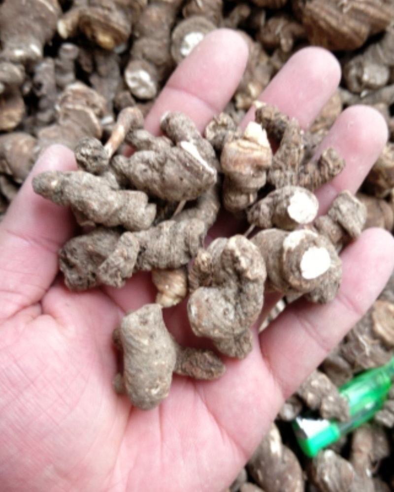 精品重楼干货，干重楼，粉质无杂，质量保证，一手货源