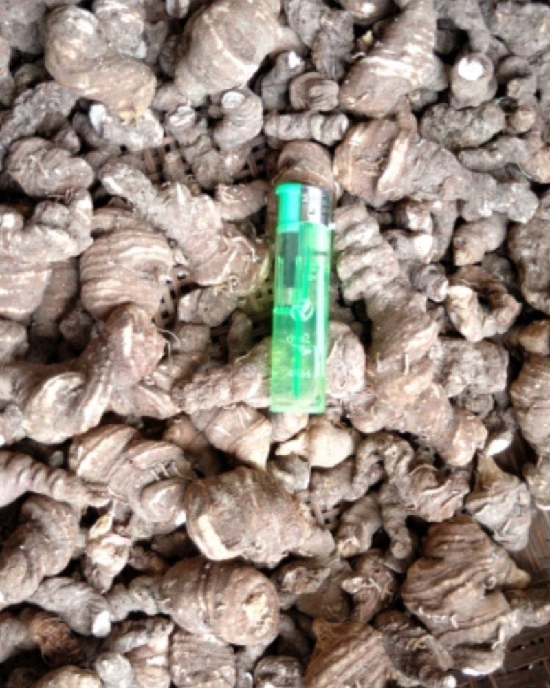 精品重楼干货，干重楼，粉质无杂，质量保证，一手货源