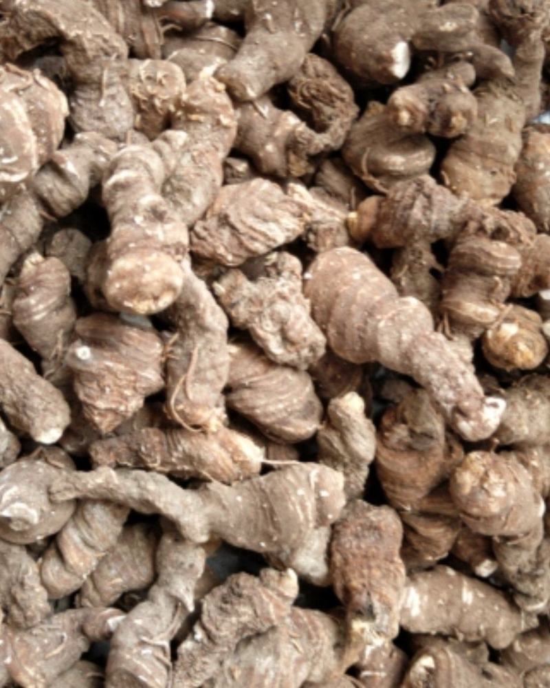 精品重楼干货，干重楼，粉质无杂，质量保证，一手货源