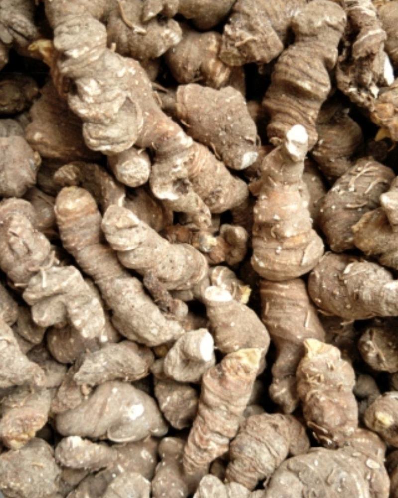 精品重楼干货，干重楼，粉质无杂，质量保证，一手货源