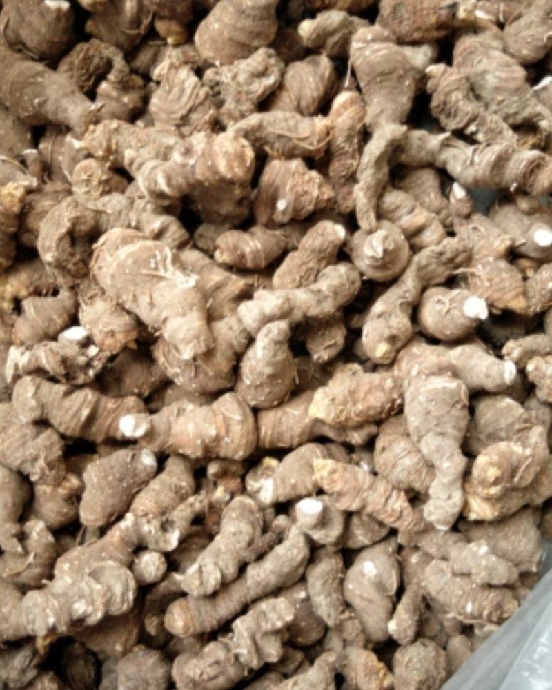 精品重楼干货，干重楼，粉质无杂，质量保证，一手货源
