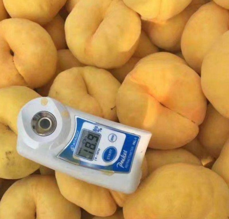 黄金蟠桃皇母娘娘蟠桃