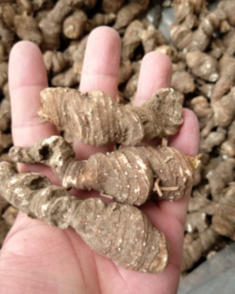 精品重楼干货，干重楼，粉质无杂，质量保证，一手货源