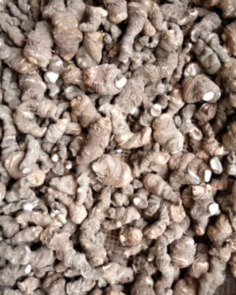 精品重楼干货，干重楼，粉质无杂，质量保证，一手货源