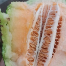 西周密