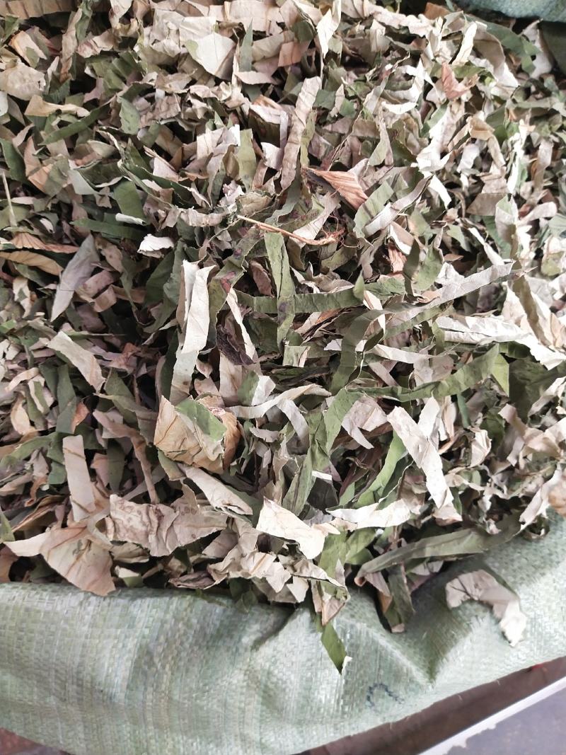 荷叶丝量大优惠。。