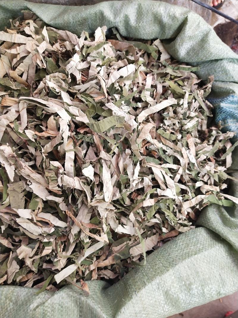 荷叶丝量大优惠。。