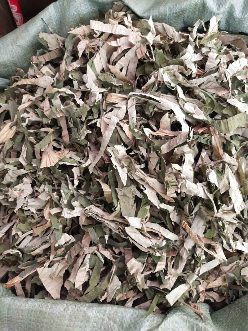 荷叶丝量大优惠。。